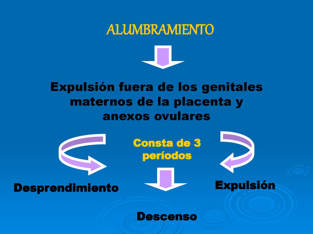 ALUMBRAMIENTO Expulsión fuera de los genitales maternos de la placenta y anexos ovulares. Consta de 3 períodos.