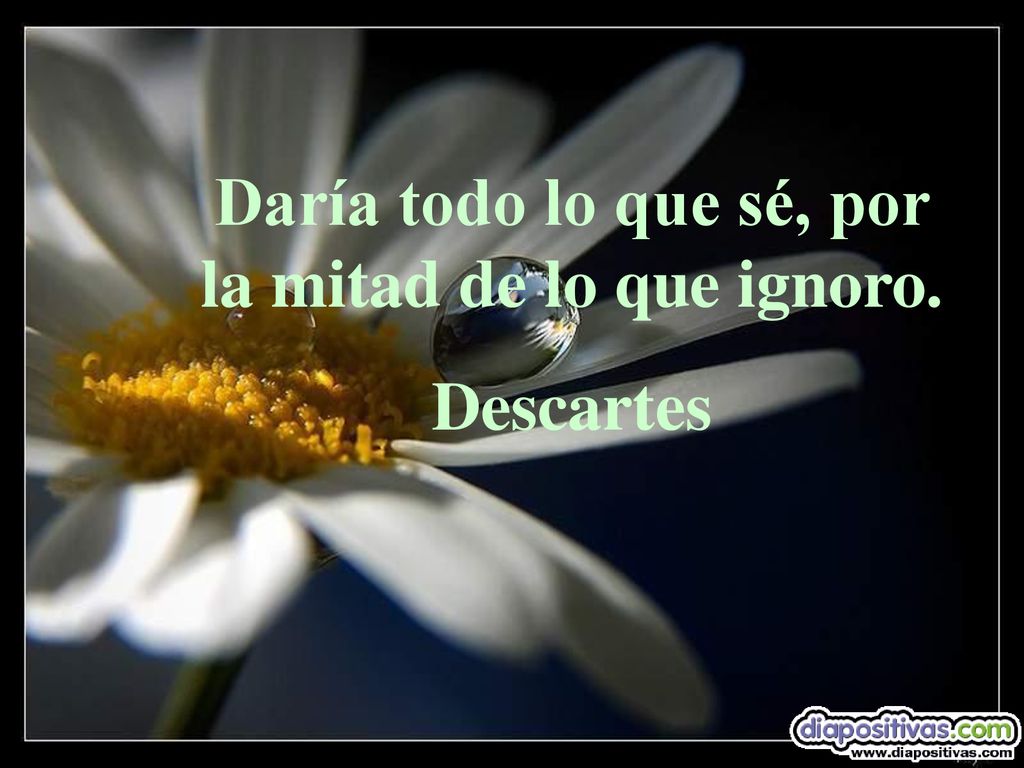 Daría todo lo que sé, por la mitad de lo que ignoro.
