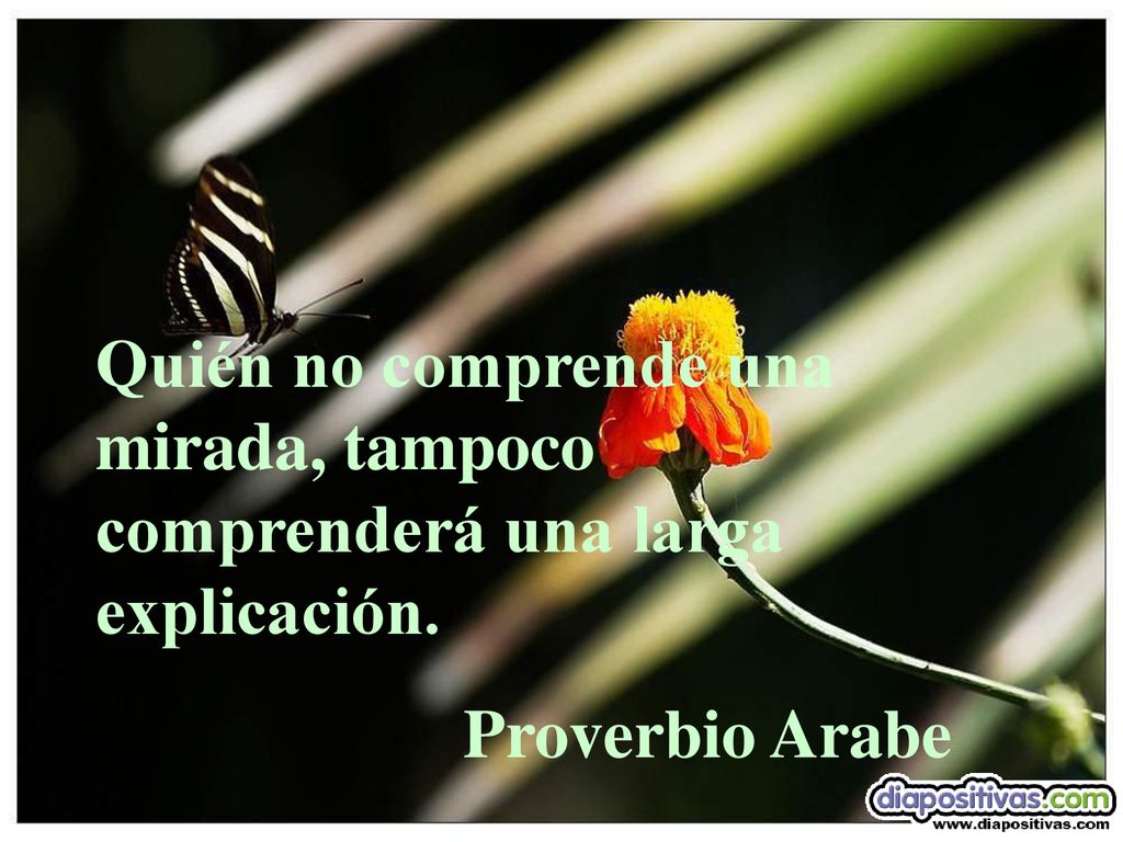 Quién no comprende una mirada, tampoco comprenderá una larga explicación.