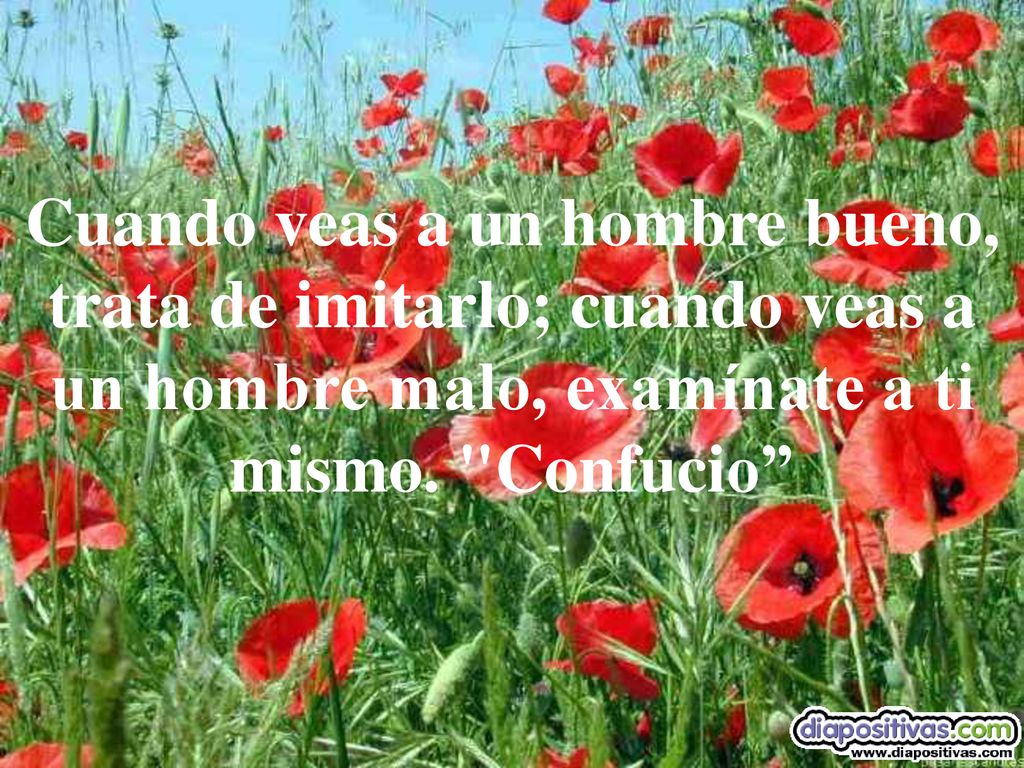 Cuando veas a un hombre bueno, trata de imitarlo; cuando veas a un hombre malo, examínate a ti mismo.