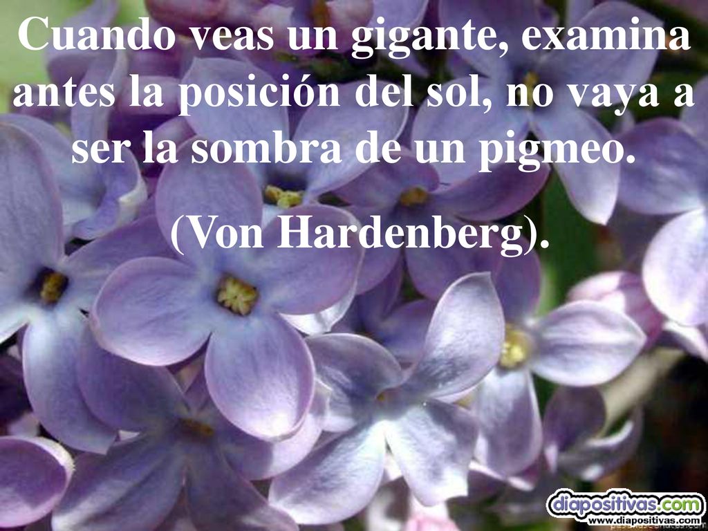 Cuando veas un gigante, examina antes la posición del sol, no vaya a ser la sombra de un pigmeo.
