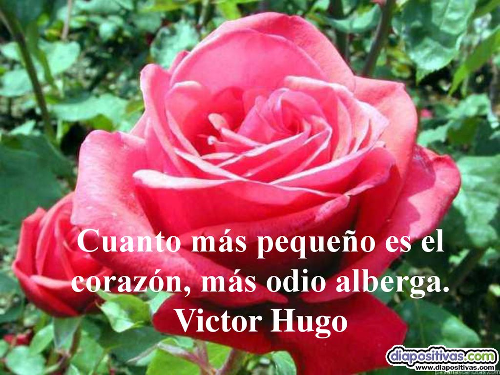 Cuanto más pequeño es el corazón, más odio alberga. Victor Hugo