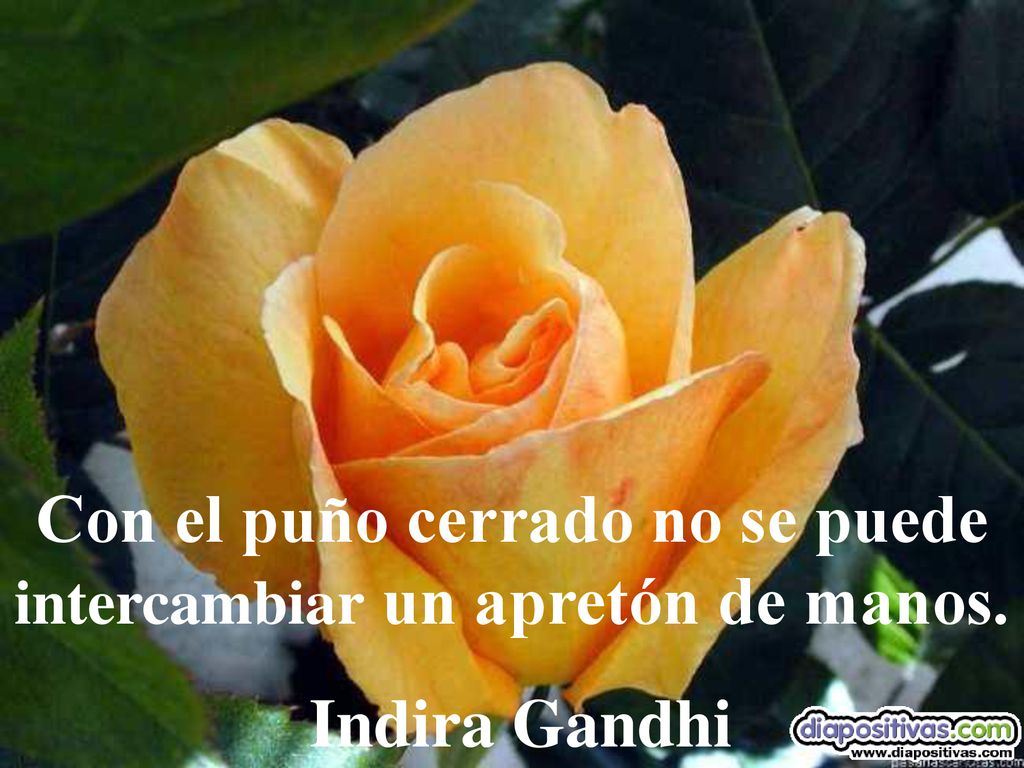 Con el puño cerrado no se puede intercambiar un apretón de manos.