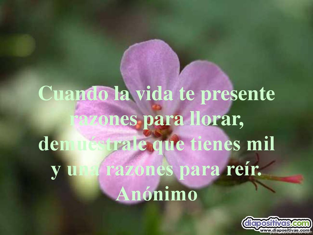 Cuando la vida te presente razones para llorar, demuéstrale que tienes mil y una razones para reír.