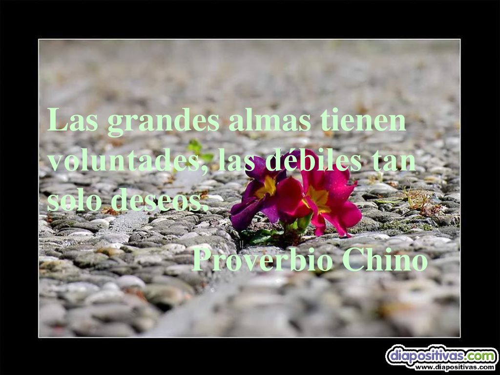 Las grandes almas tienen voluntades, las débiles tan solo deseos.