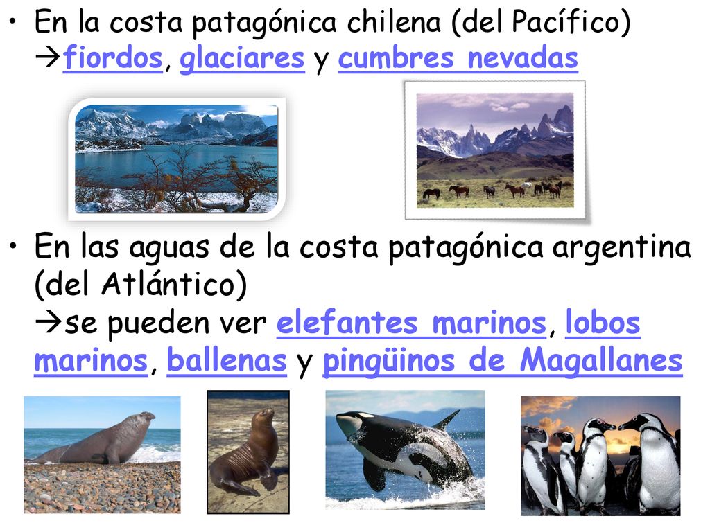 En la costa patagónica chilena (del Pacífico) fiordos, glaciares y cumbres nevadas