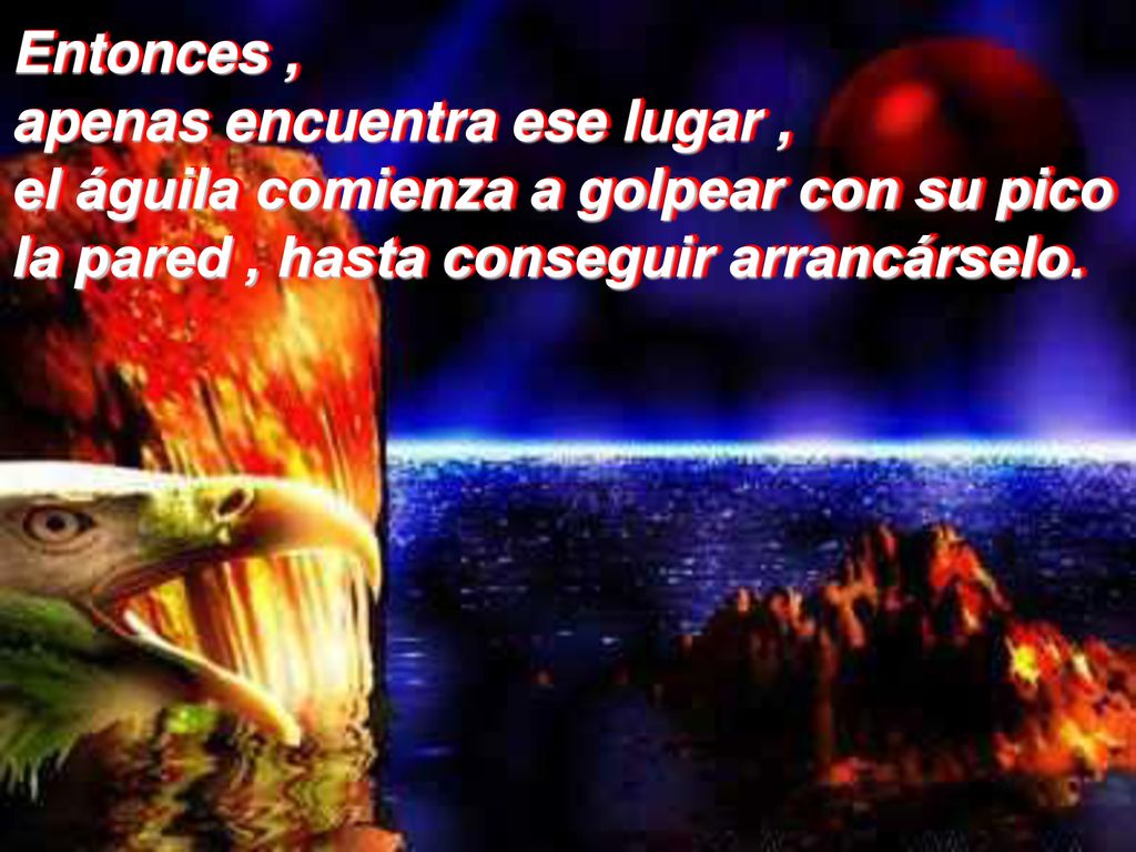 Entonces , apenas encuentra ese lugar , el águila comienza a golpear con su pico la pared , hasta conseguir arrancárselo.