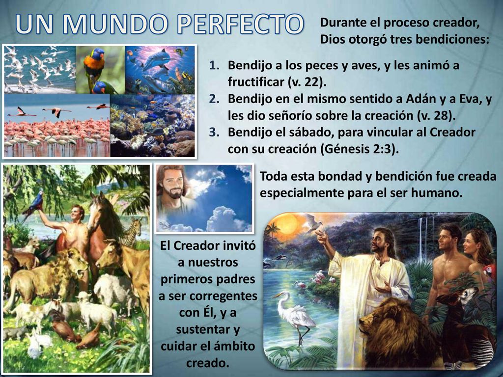 UN MUNDO PERFECTO Durante el proceso creador, Dios otorgó tres bendiciones: Bendijo a los peces y aves, y les animó a fructificar (v. 22).