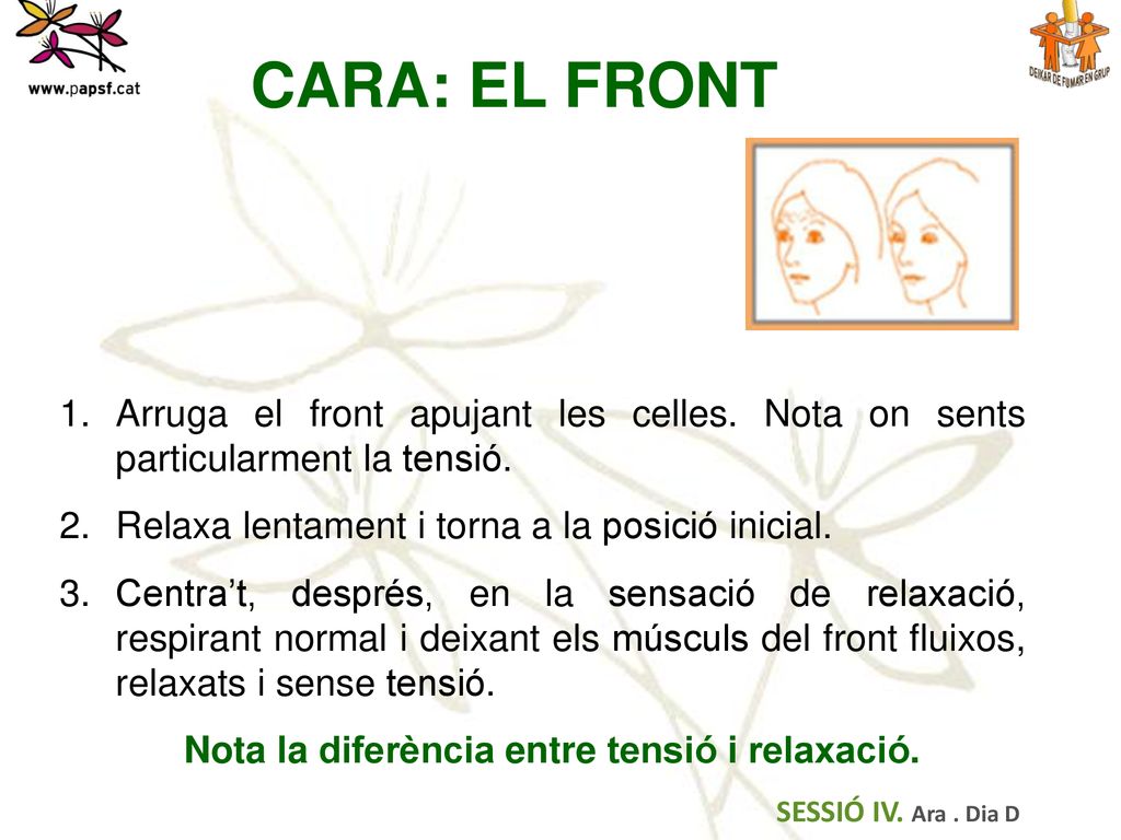 SESSIÓ IV. Ara . Dia D CARA: EL FRONT. Arruga el front apujant les celles. Nota on sents particularment la tensió.