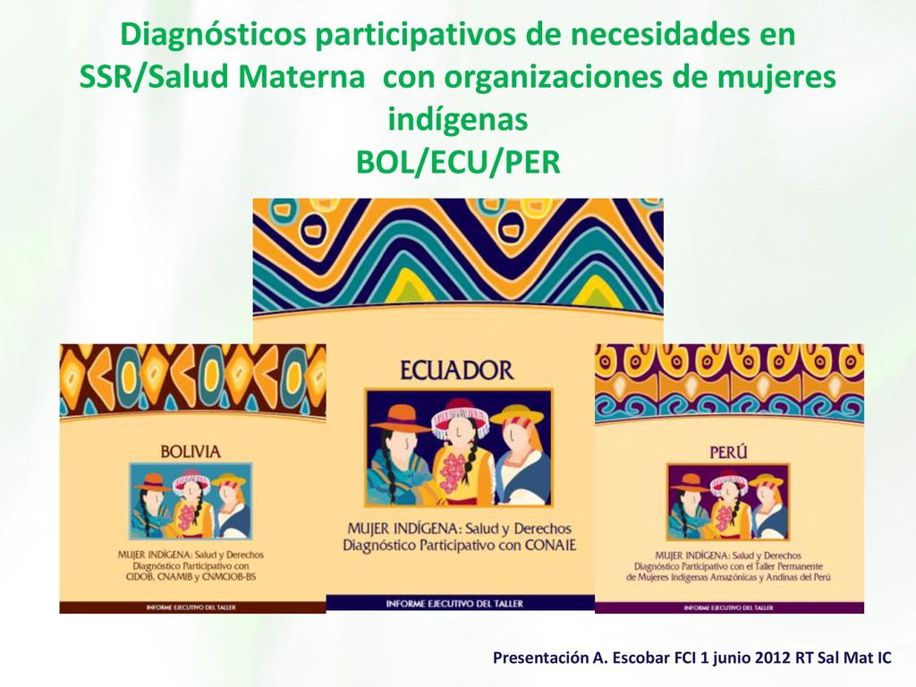 Diagnósticos participativos de necesidades en SSR/Salud Materna con organizaciones de mujeres indígenas BOL/ECU/PER