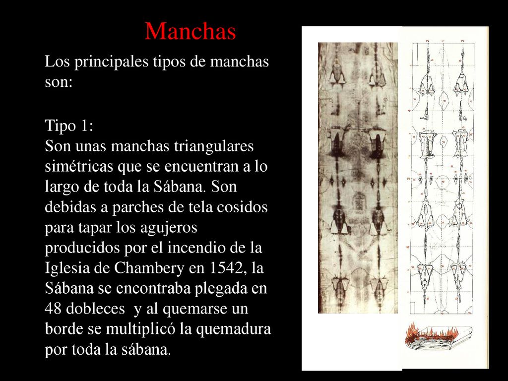 Manchas Los principales tipos de manchas son: Tipo 1: