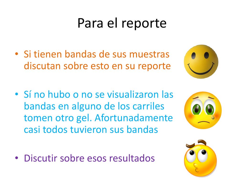 Para el reporte Si tienen bandas de sus muestras discutan sobre esto en su reporte.