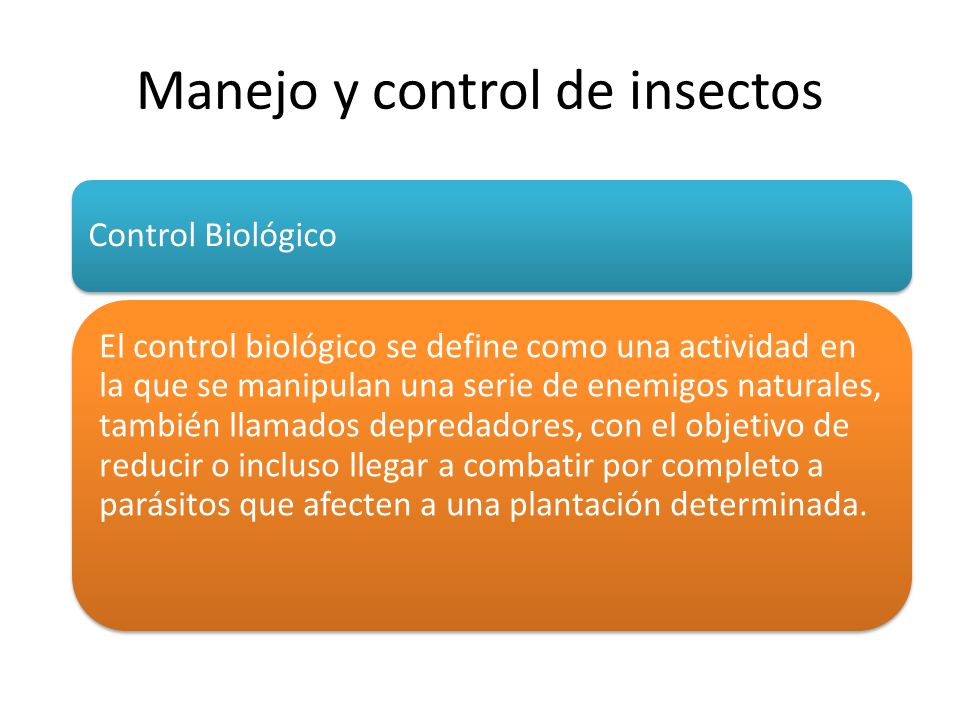 Manejo y control de insectos