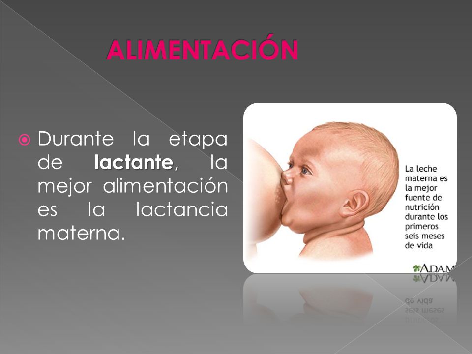 ALIMENTACIÓN Durante la etapa de lactante, la mejor alimentación es la lactancia materna.