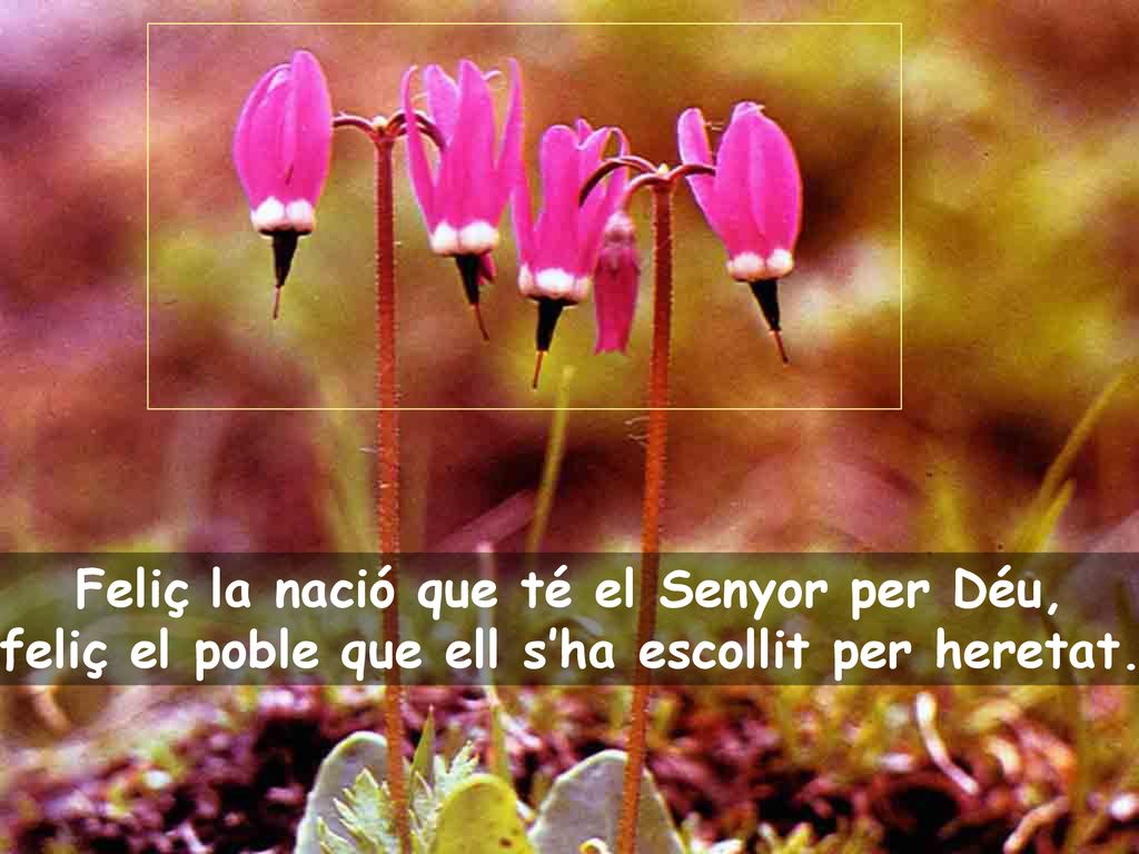 Feliç la nació que té el Senyor per Déu,