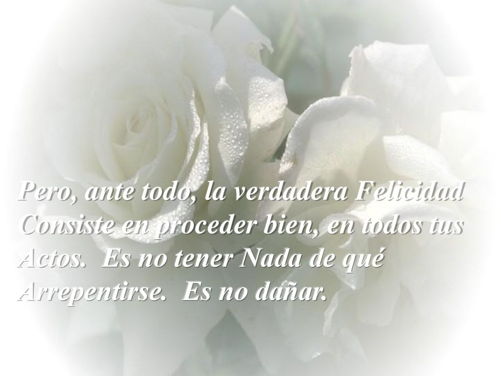 Pero, ante todo, la verdadera Felicidad Consiste en proceder bien, en todos tus Actos. Es no tener Nada de qué Arrepentirse. Es no dañar.