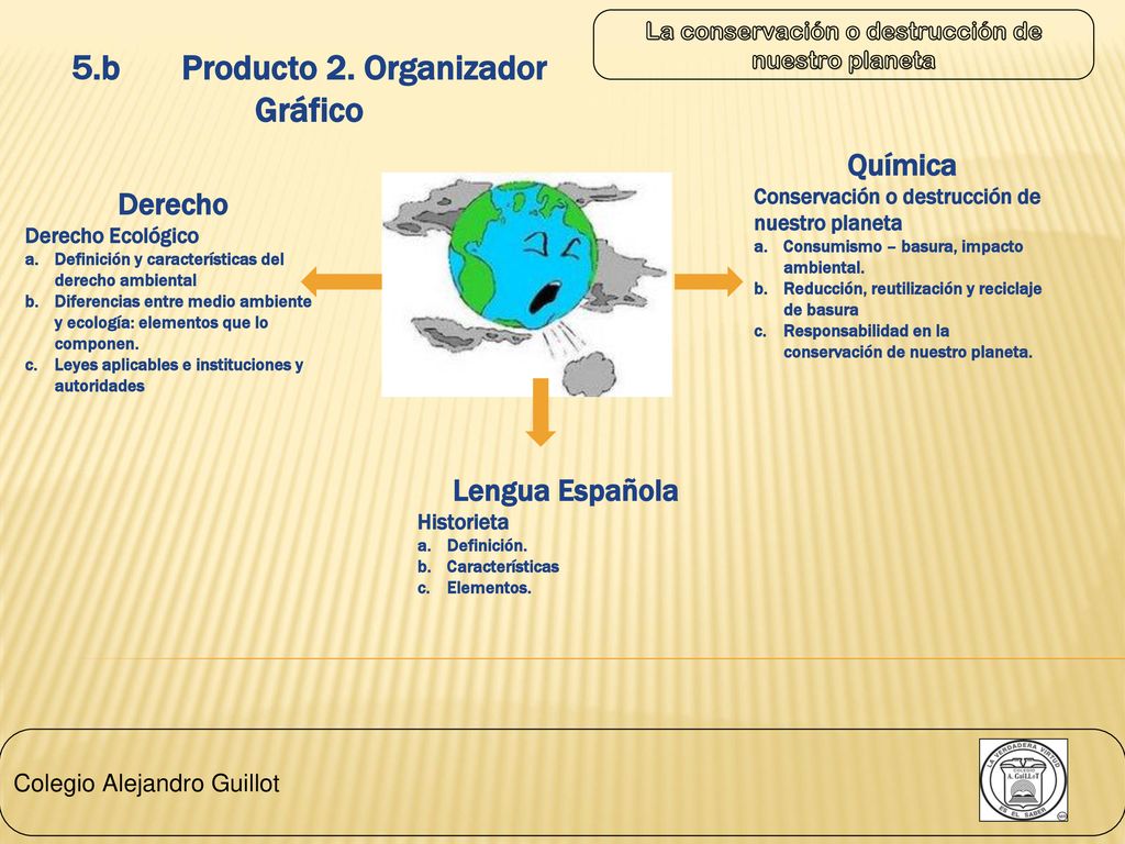 5.b Producto 2. Organizador Gráfico