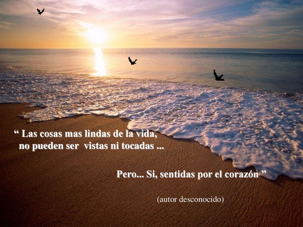 Las cosas mas lindas de la vida, no pueden ser vistas ni tocadas ...