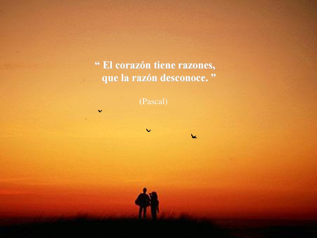 El corazón tiene razones, que la razón desconoce.