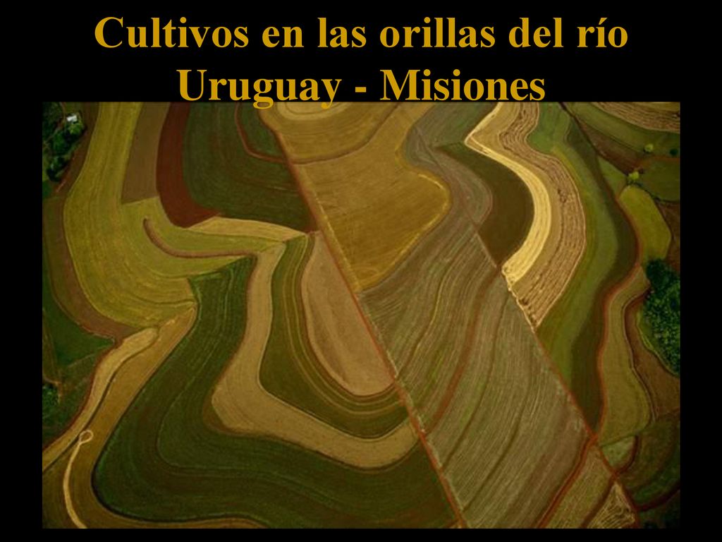 Cultivos en las orillas del río Uruguay - Misiones