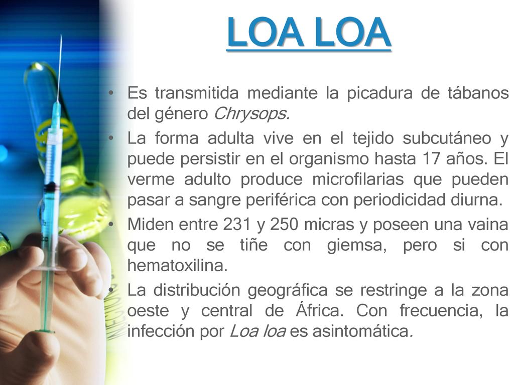 LOA LOA Es transmitida mediante la picadura de tábanos del género Chrysops.