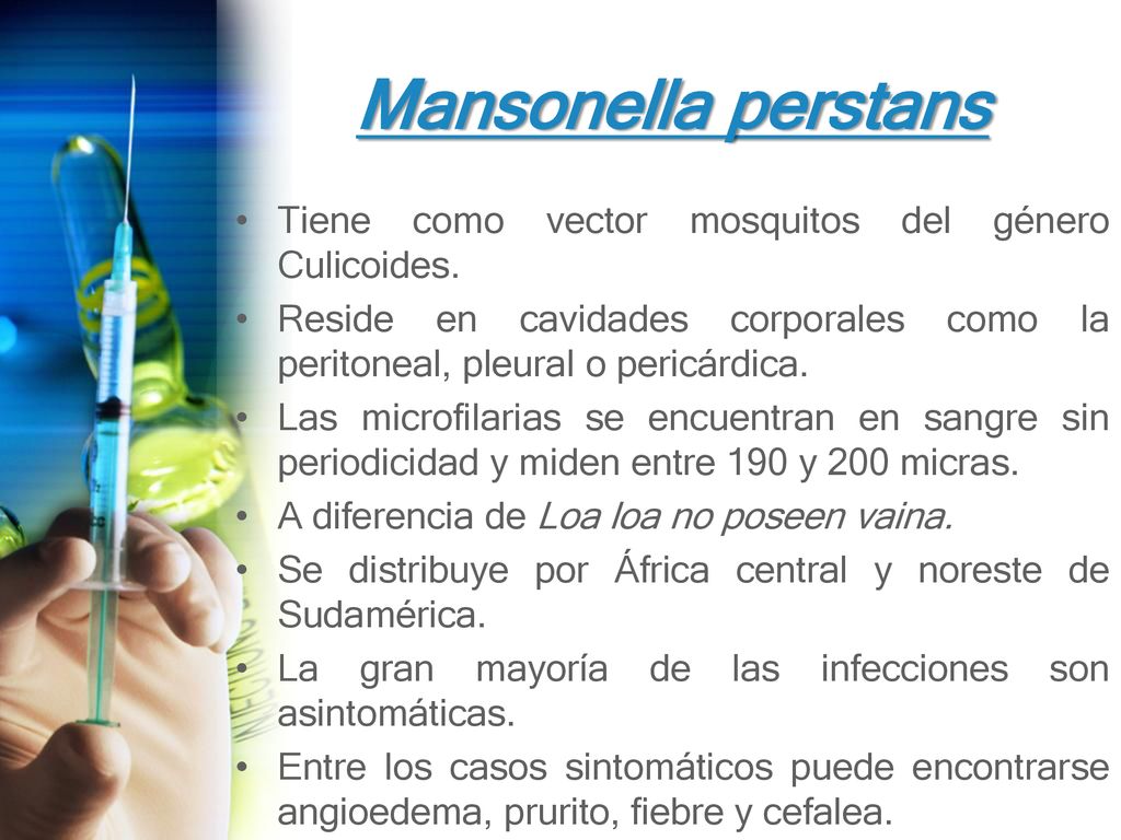 Mansonella perstans Tiene como vector mosquitos del género Culicoides.