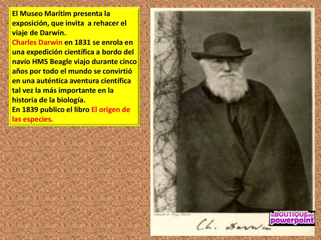 El Museo Marítim presenta la exposición, que invita a rehacer el viaje de Darwin.