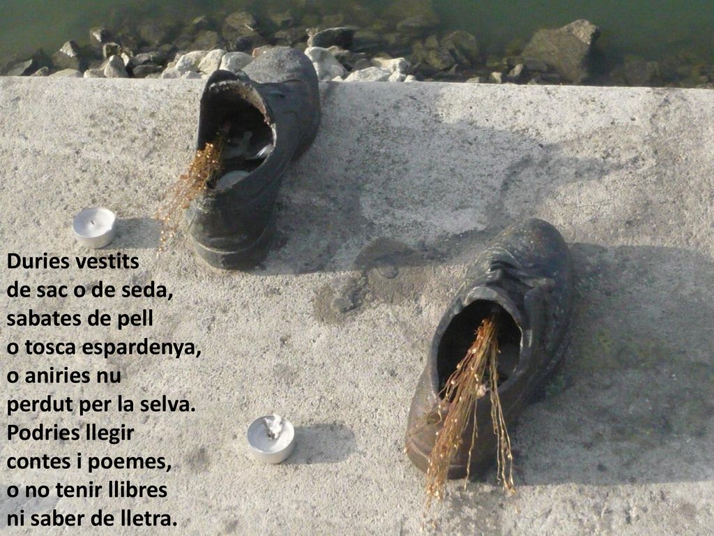 Duries vestits de sac o de seda, sabates de pell. o tosca espardenya, o aniries nu. perdut per la selva.