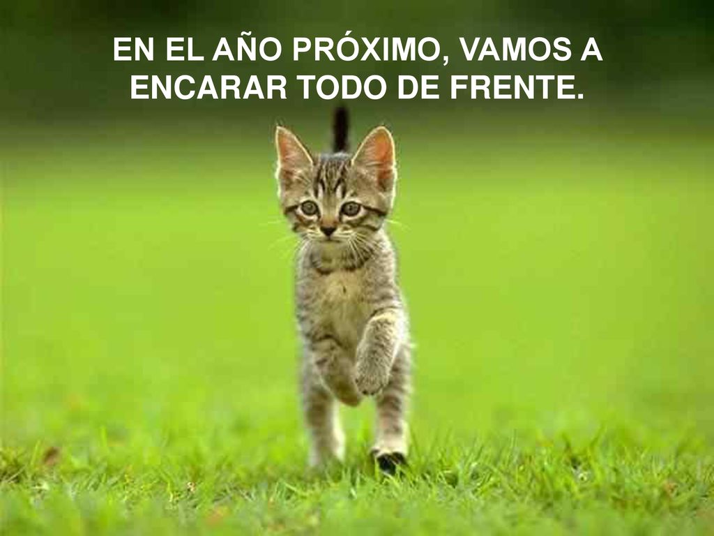 EN EL AÑO PRÓXIMO, VAMOS A ENCARAR TODO DE FRENTE.