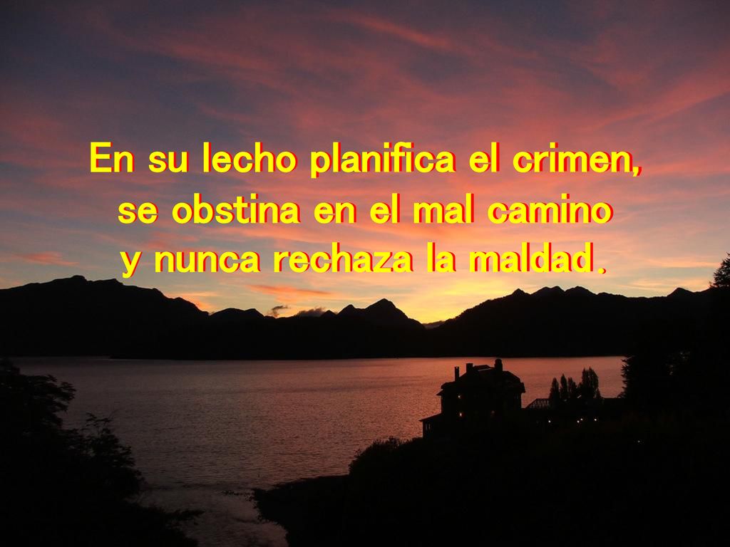 En su lecho planifica el crimen, se obstina en el mal camino