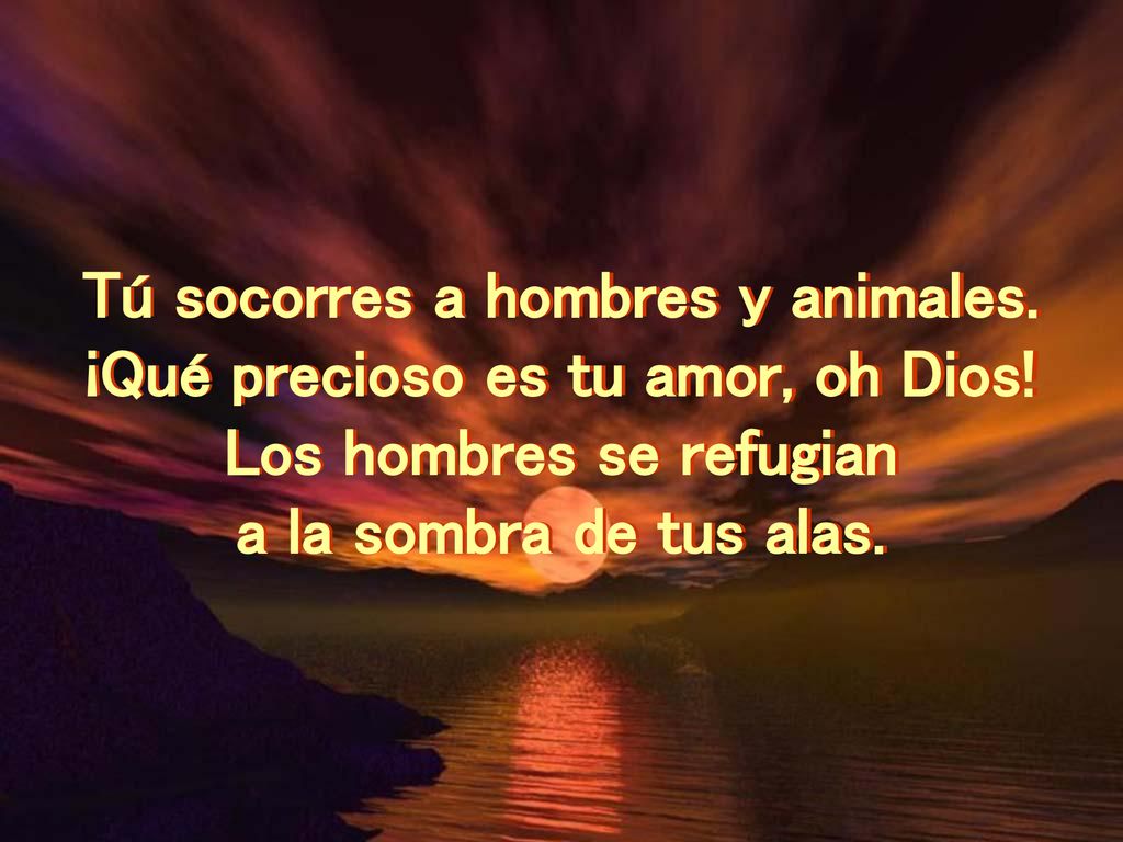 Tú socorres a hombres y animales. ¡Qué precioso es tu amor, oh Dios!