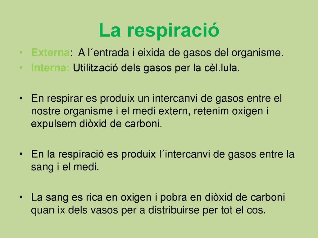 La respiració Externa: A l´entrada i eixida de gasos del organisme.