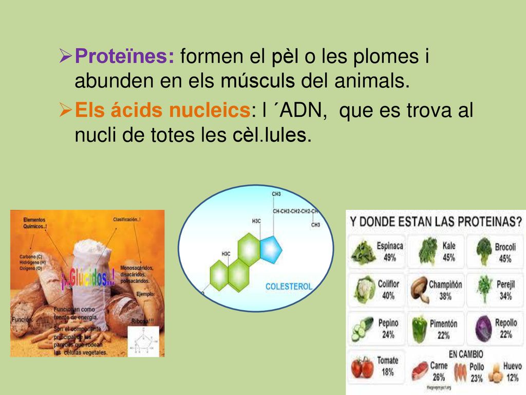 Proteïnes: formen el pèl o les plomes i abunden en els músculs del animals.