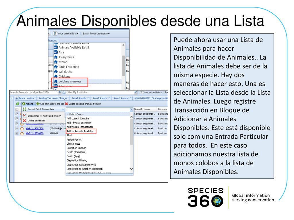 Animales Disponibles desde una Lista