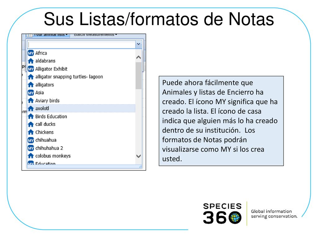 Sus Listas/formatos de Notas