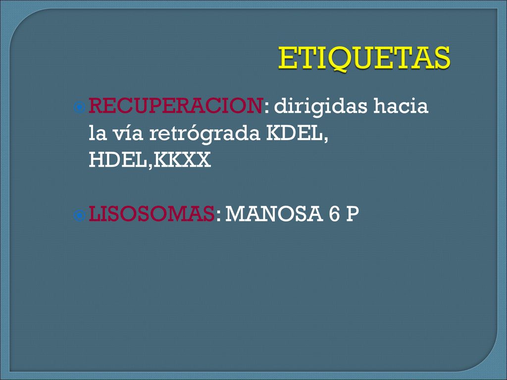 ETIQUETAS RECUPERACION: dirigidas hacia la vía retrógrada KDEL, HDEL,KKXX LISOSOMAS: MANOSA 6 P 15