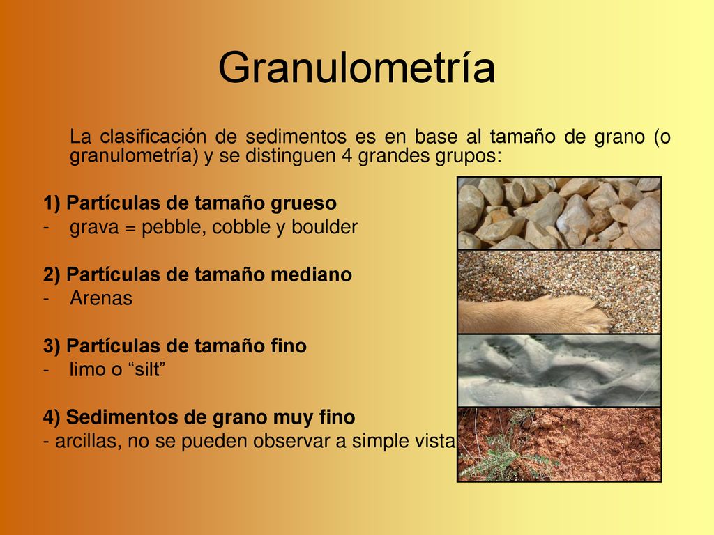 Granulometría La clasificación de sedimentos es en base al tamaño de grano (o granulometría) y se distinguen 4 grandes grupos: