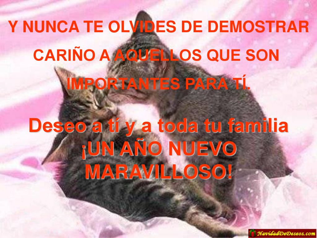 Deseo a tí y a toda tu familia ¡UN AÑO NUEVO MARAVILLOSO!