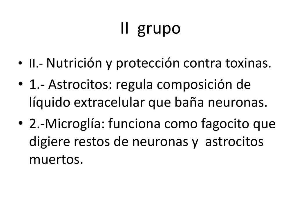 II grupo II.- Nutrición y protección contra toxinas. 1.- Astrocitos: regula composición de líquido extracelular que baña neuronas.