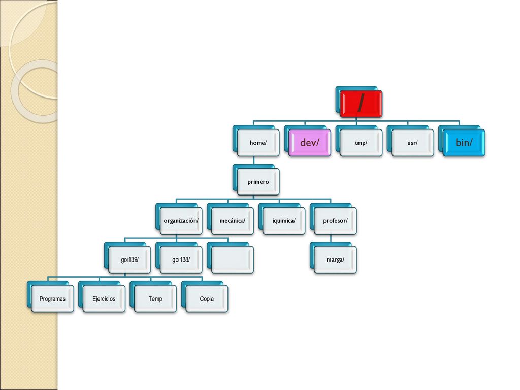 / dev/ bin/ home/ primero organización/ goi139/ Programas Ejercicios