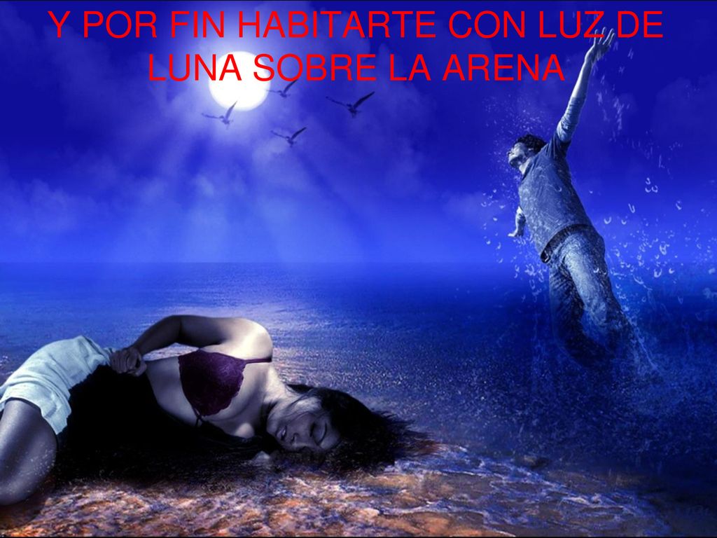 Y POR FIN HABITARTE CON LUZ DE LUNA SOBRE LA ARENA