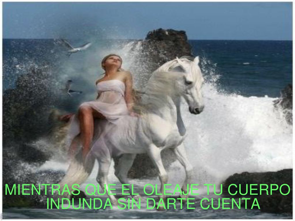 MIENTRAS QUE EL OLEAJE TU CUERPO INDUNDA SIN DARTE CUENTA