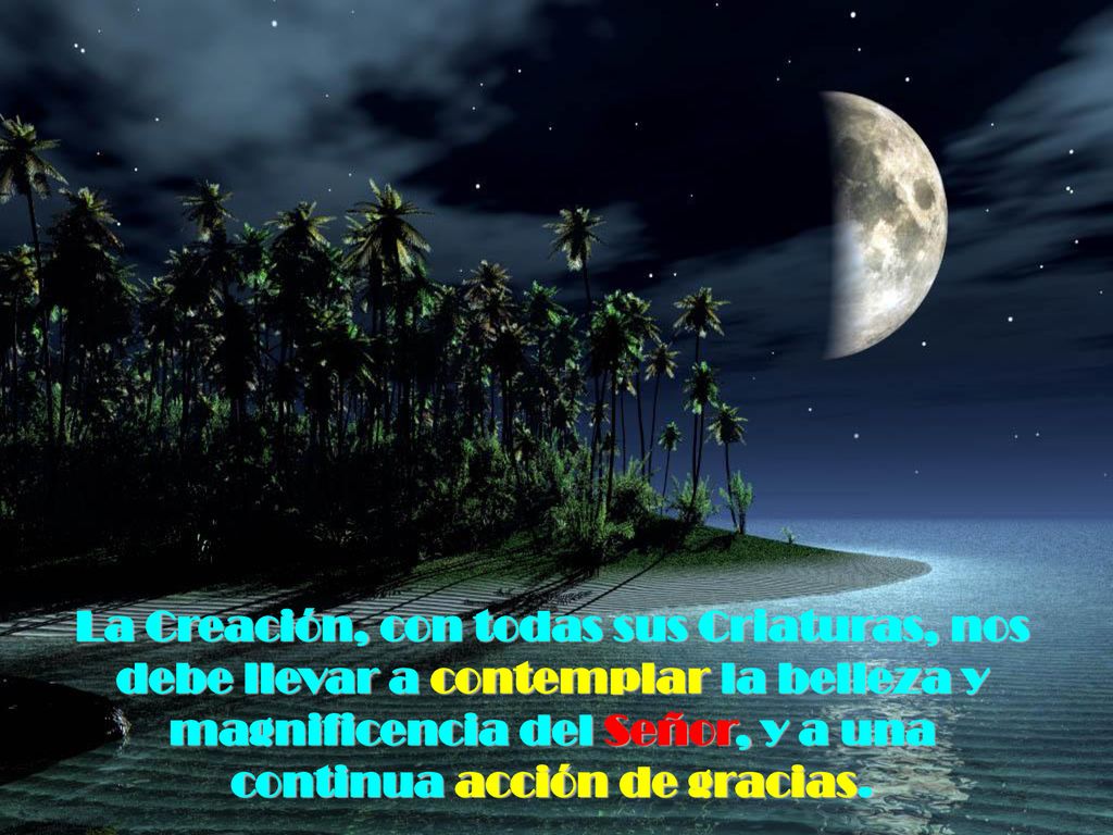 La Creación, con todas sus Criaturas, nos debe llevar a contemplar la belleza y magnificencia del Señor, y a una continua acción de gracias.