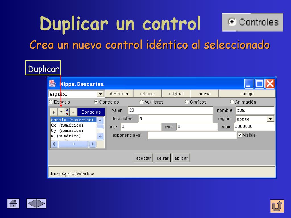 Duplicar un control Crea un nuevo control idéntico al seleccionado