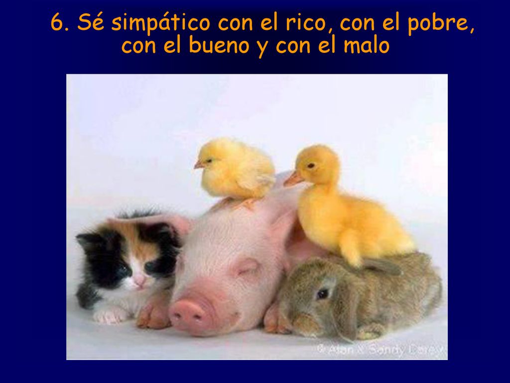 6. Sé simpático con el rico, con el pobre, con el bueno y con el malo