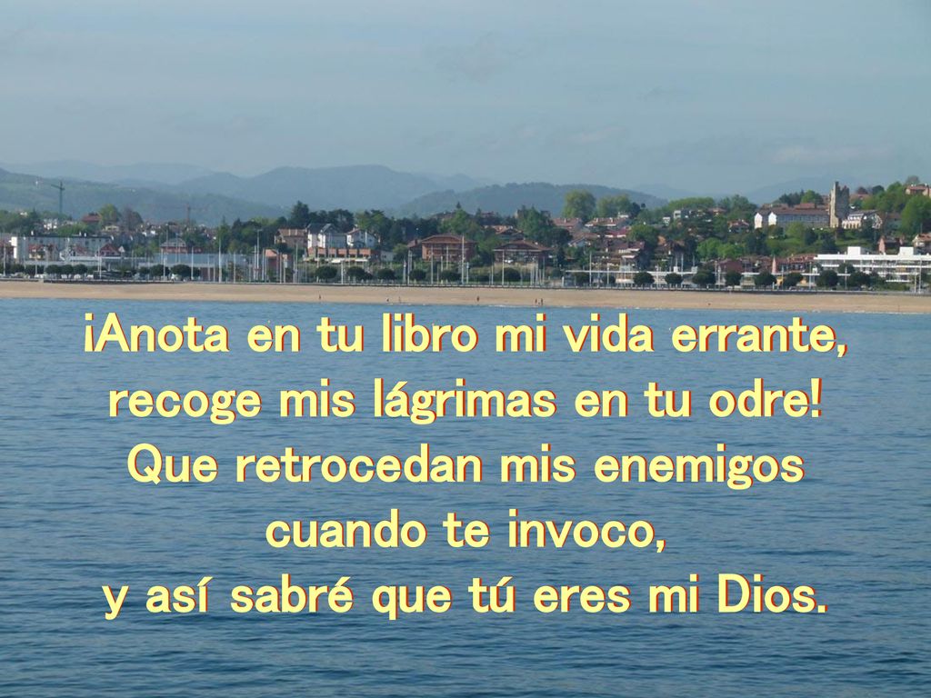 ¡Anota en tu libro mi vida errante, recoge mis lágrimas en tu odre!