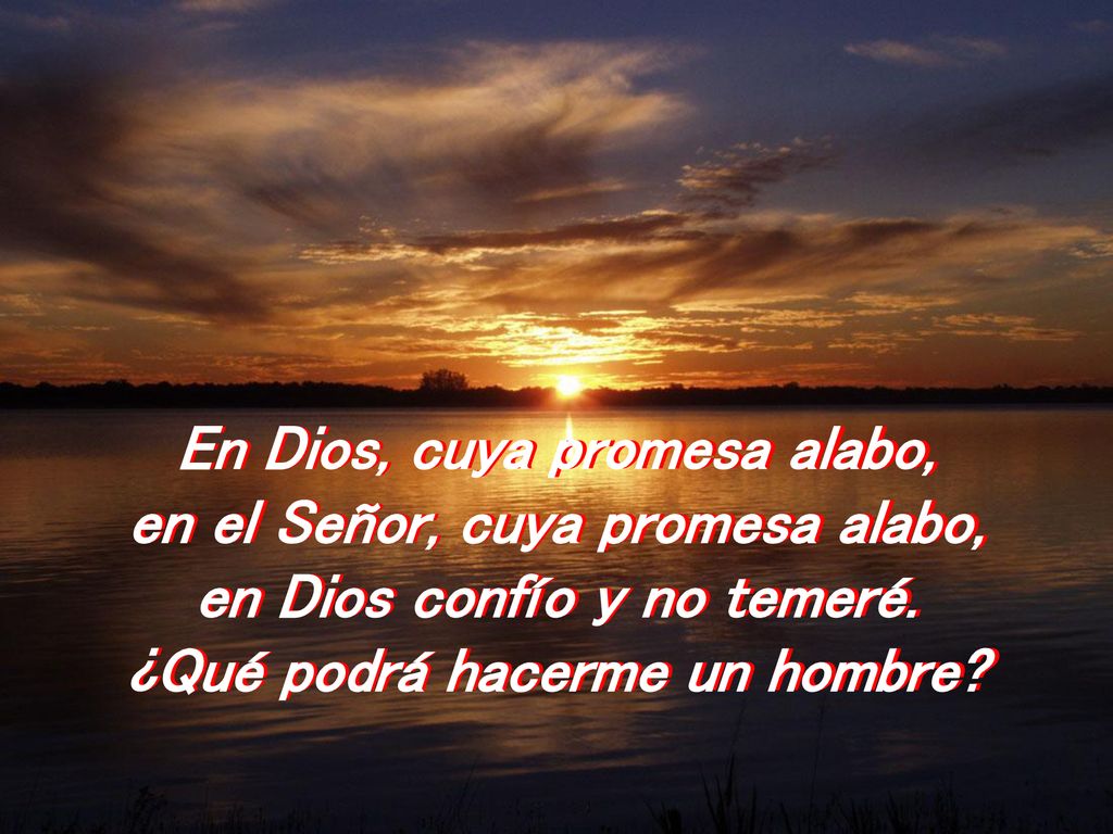 En Dios, cuya promesa alabo, en el Señor, cuya promesa alabo,