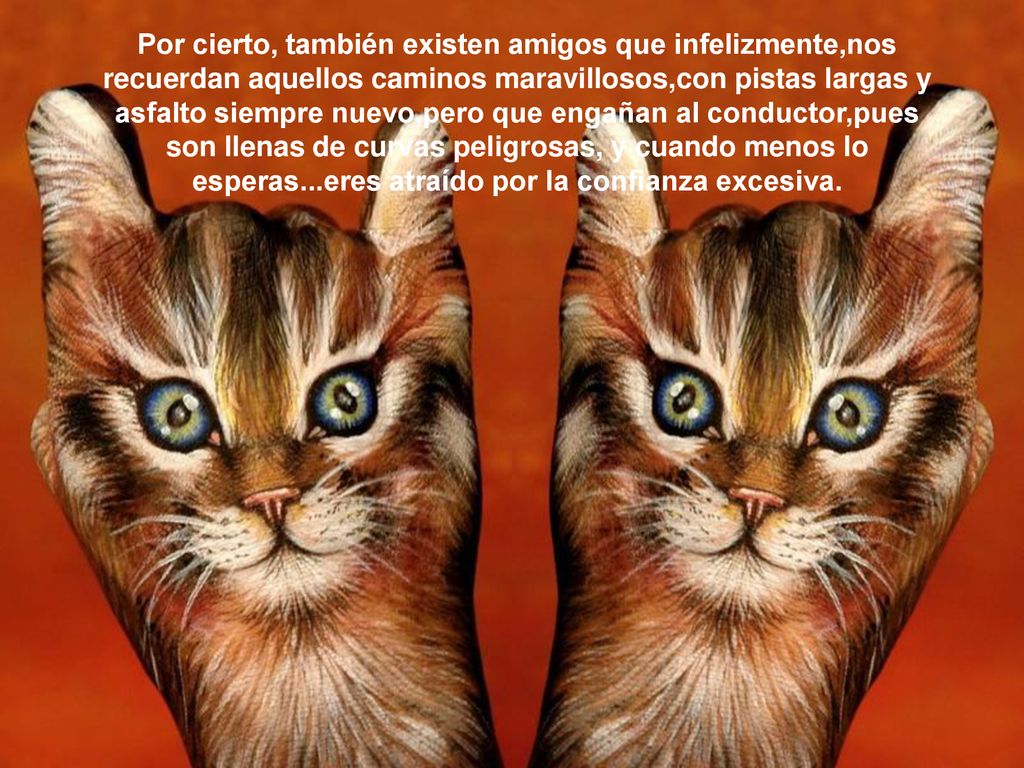Por cierto, también existen amigos que infelizmente,nos recuerdan aquellos caminos maravillosos,con pistas largas y asfalto siempre nuevo,pero que engañan al conductor,pues son llenas de curvas peligrosas, y cuando menos lo esperas...eres atraído por la confianza excesiva.