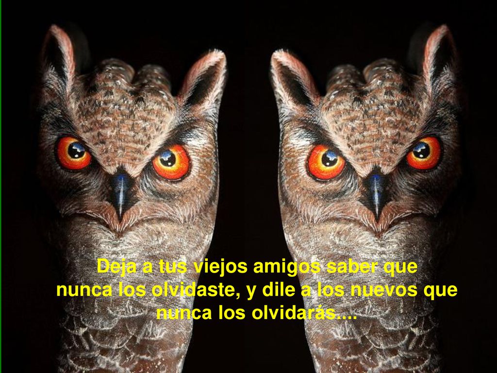 Deja a tus viejos amigos saber que nunca los olvidaste, y dile a los nuevos que nunca los olvidarás....