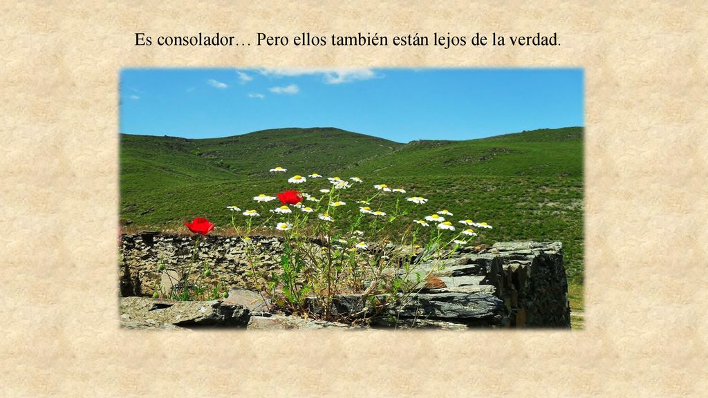 Es consolador… Pero ellos también están lejos de la verdad.
